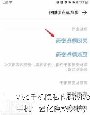 vivo手机隐私代码(vivo手机：强化隐私保护)