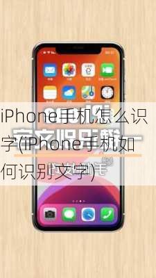 iPhone手机怎么识字(iPhone手机如何识别文字)