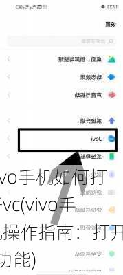 vivo手机如何打开vc(vivo手机操作指南：打开VC功能)