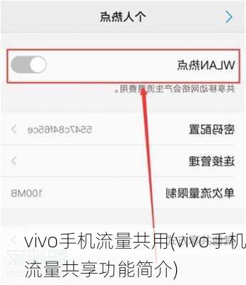 vivo手机流量共用(vivo手机流量共享功能简介)