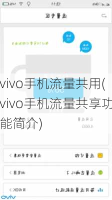 vivo手机流量共用(vivo手机流量共享功能简介)