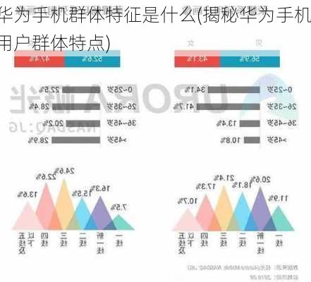 华为手机群体特征是什么(揭秘华为手机用户群体特点)