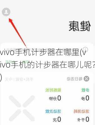 vivo手机计步器在哪里(vivo手机的计步器在哪儿呢？)