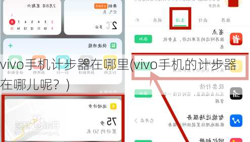 vivo手机计步器在哪里(vivo手机的计步器在哪儿呢？)