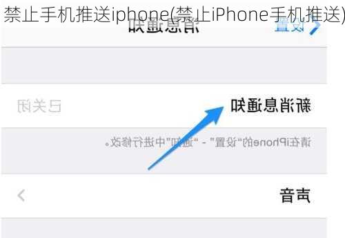 禁止手机推送iphone(禁止iPhone手机推送)