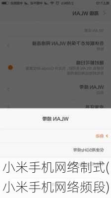 小米手机网络制式(小米手机网络频段)