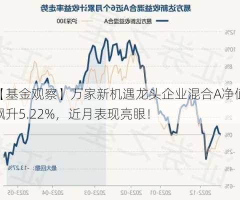 【基金观察】万家新机遇龙头企业混合A净值飙升5.22%，近月表现亮眼！