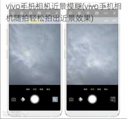 vivo手机相机近景模糊(vivo手机相机随拍轻松拍出近景效果)