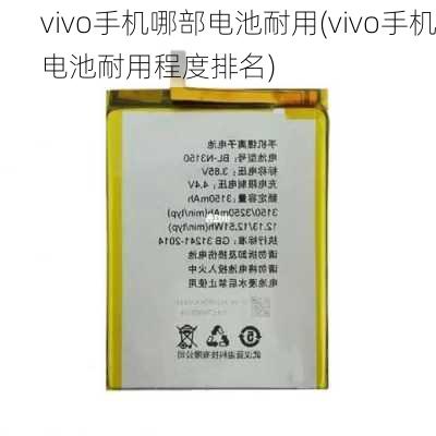 vivo手机哪部电池耐用(vivo手机电池耐用程度排名)