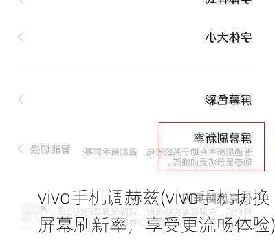 vivo手机调赫兹(vivo手机切换屏幕刷新率，享受更流畅体验)