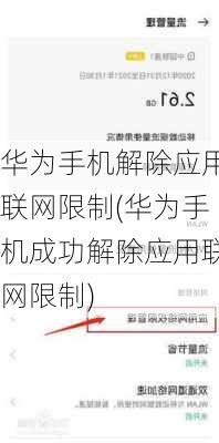 华为手机解除应用联网限制(华为手机成功解除应用联网限制)
