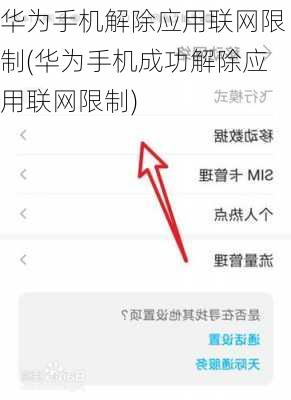 华为手机解除应用联网限制(华为手机成功解除应用联网限制)
