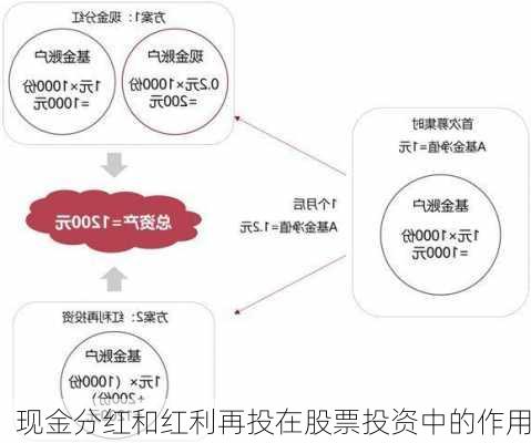 现金分红和红利再投在股票投资中的作用