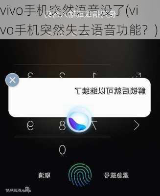 vivo手机突然语音没了(vivo手机突然失去语音功能？)