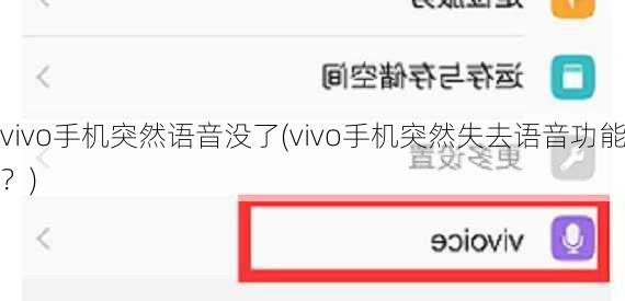 vivo手机突然语音没了(vivo手机突然失去语音功能？)