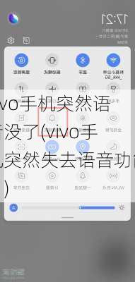 vivo手机突然语音没了(vivo手机突然失去语音功能？)