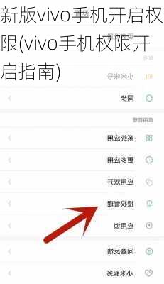 新版vivo手机开启权限(vivo手机权限开启指南)