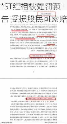 *ST红相被处罚预告 受损股民可索赔