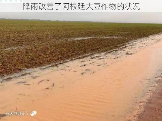 降雨改善了阿根廷大豆作物的状况