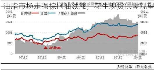 油脂市场走强棕榈油领涨，花生现货供需观望