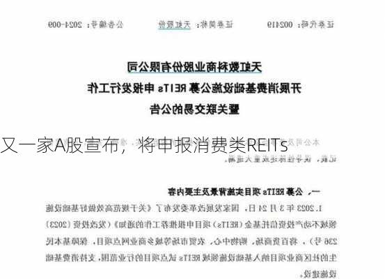 又一家A股宣布，将申报消费类REITs