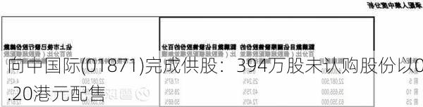 向中国际(01871)完成供股：394万股未认购股份以0.20港元配售