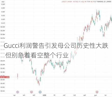 Gucci利润警告引发母公司历史性大跌 但别急着看空整个行业