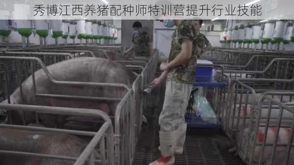 秀博江西养猪配种师特训营提升行业技能