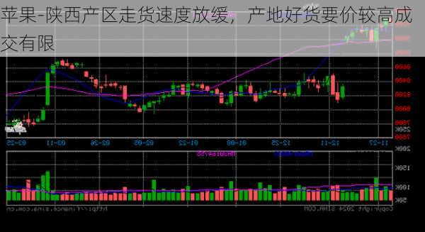 苹果-陕西产区走货速度放缓，产地好货要价较高成交有限