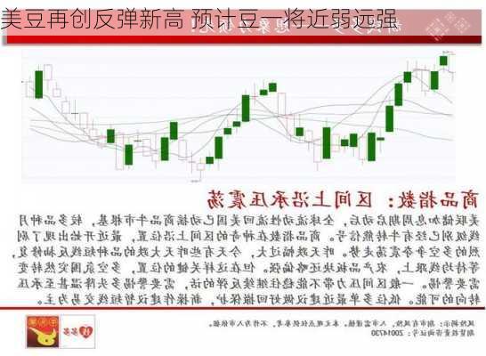 美豆再创反弹新高 预计豆一将近弱远强