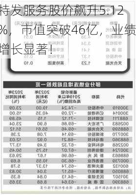 特发服务股价飙升5.12%，市值突破46亿，业绩增长显著！