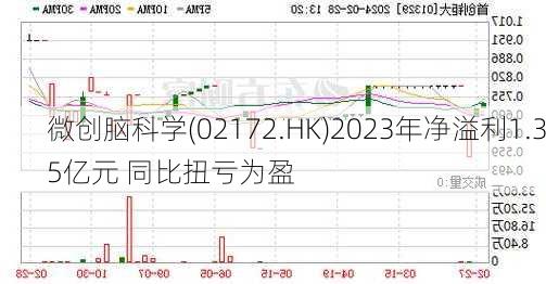 微创脑科学(02172.HK)2023年净溢利1.35亿元 同比扭亏为盈