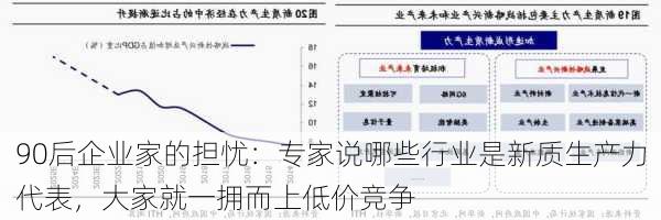 90后企业家的担忧：专家说哪些行业是新质生产力代表，大家就一拥而上低价竞争