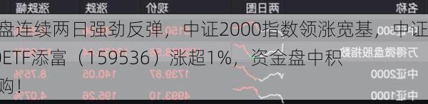 小微盘连续两日强劲反弹，中证2000指数领涨宽基，中证2000ETF添富（159536）涨超1%，资金盘中积极申购！