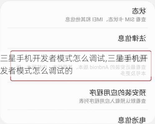 三星手机开发者模式怎么调试,三星手机开发者模式怎么调试的