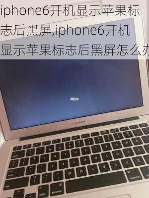 iphone6开机显示苹果标志后黑屏,iphone6开机显示苹果标志后黑屏怎么办