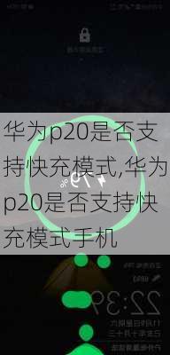 华为p20是否支持快充模式,华为p20是否支持快充模式手机