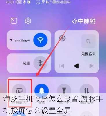 海豚手机投屏怎么设置,海豚手机投屏怎么设置全屏