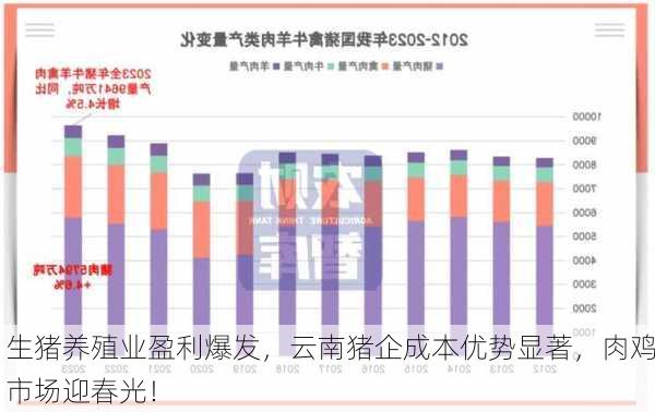 生猪养殖业盈利爆发，云南猪企成本优势显著，肉鸡市场迎春光！