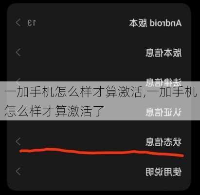 一加手机怎么样才算激活,一加手机怎么样才算激活了