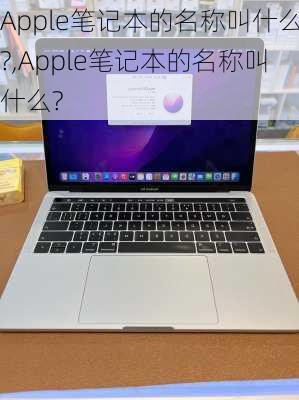 Apple笔记本的名称叫什么?,Apple笔记本的名称叫什么?