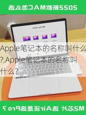 Apple笔记本的名称叫什么?,Apple笔记本的名称叫什么?