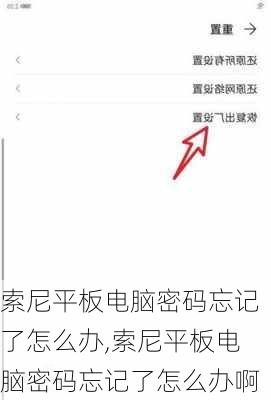 索尼平板电脑密码忘记了怎么办,索尼平板电脑密码忘记了怎么办啊