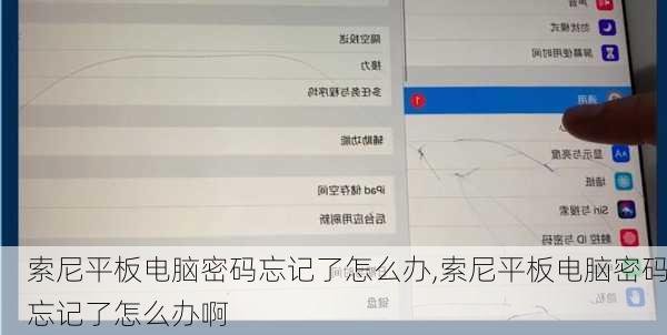 索尼平板电脑密码忘记了怎么办,索尼平板电脑密码忘记了怎么办啊