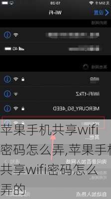 苹果手机共享wifi密码怎么弄,苹果手机共享wifi密码怎么弄的