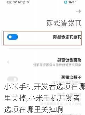 小米手机开发者选项在哪里关掉,小米手机开发者选项在哪里关掉啊