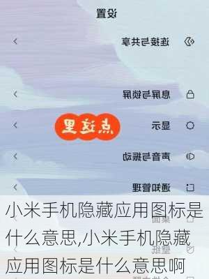 小米手机隐藏应用图标是什么意思,小米手机隐藏应用图标是什么意思啊