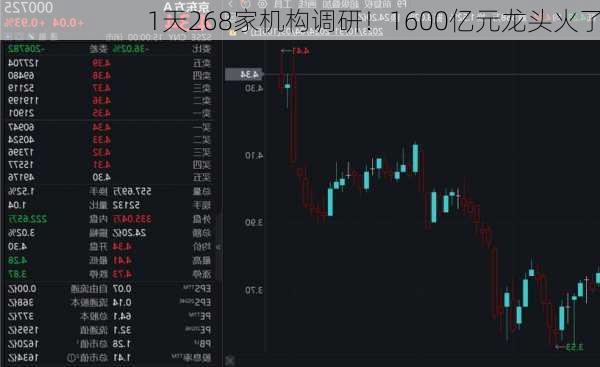 1天268家机构调研！1600亿元龙头火了