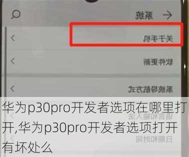 华为p30pro开发者选项在哪里打开,华为p30pro开发者选项打开有坏处么