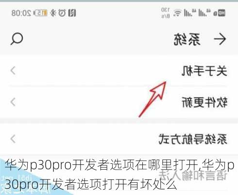 华为p30pro开发者选项在哪里打开,华为p30pro开发者选项打开有坏处么